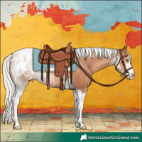 Horse Color:Silver Classic Champagne Sabino Tobiano Appaloosa Rabicano
