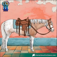 Horse Color:Silver Classic Champagne Sabino Tobiano Appaloosa Rabicano 