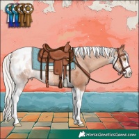 Horse Color:Silver Classic Champagne Sabino Tobiano Appaloosa Rabicano 