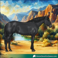 Horse Color:Black Varnish 