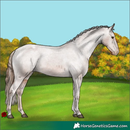 Horse Color:Chestnut Varnish 
