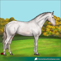Horse Color:Chestnut Varnish 