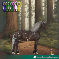 Horse Color:White Spotted Silver Brown