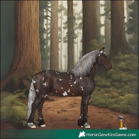 Horse Color:White Spotted Silver Brown 
