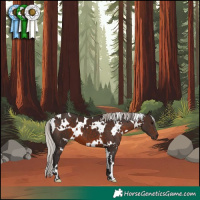 Horse Color:White Spotted Silver Brown 