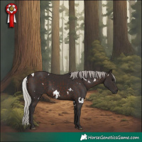 Horse Color:White Spotted Silver Brown