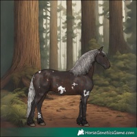 Horse Color:White Spotted Silver Brown 