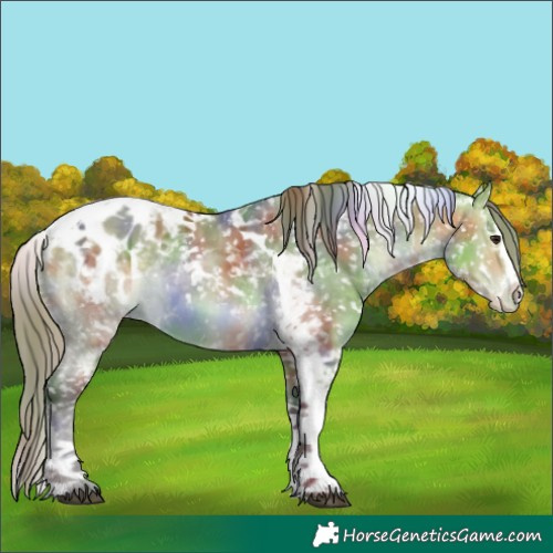 Horse Color:Nacre Buckskin Dun Sabino Splash Tobiano Appaloosa 