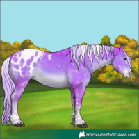 Horse Color:Watercolor White Spotted Chocolate Palomino Tobiano Appaloosa 