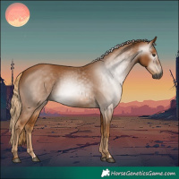 Horse Color:Gray Chestnut