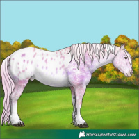 Horse Color:Watercolor Chocolate Palomino Dun Sabino Tobiano Appaloosa 