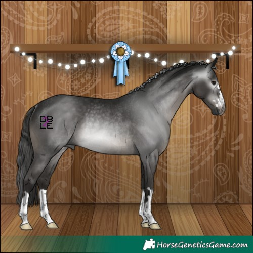 Horse Color:Gray Black Rabicano