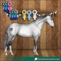 Horse Color:Gray Black Rabicano 
