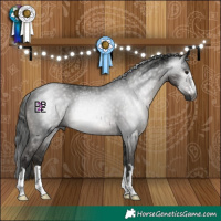Horse Color:Gray Black Rabicano 