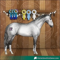 Horse Color:Gray Black Rabicano 