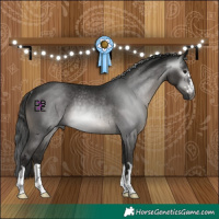 Horse Color:Gray Black Rabicano 