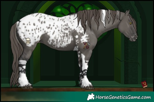 Horse Color:Grullo Tobiano Appaloosa 