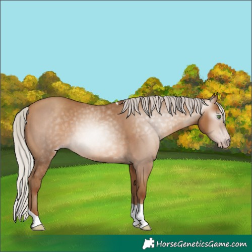 Horse Color:Gray Silver Amber Champagne Tobiano 
