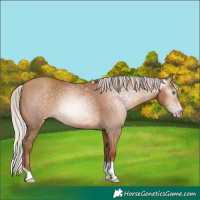 Horse Color:Gray Silver Amber Champagne Tobiano 