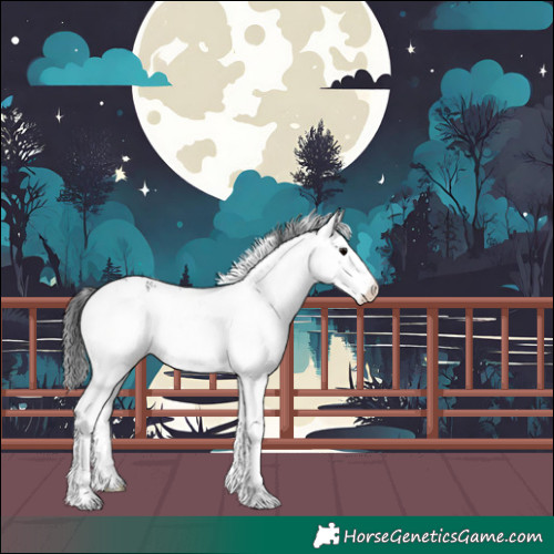 Horse Color:White Spotted Black 
