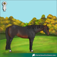 Horse Color:Brown 