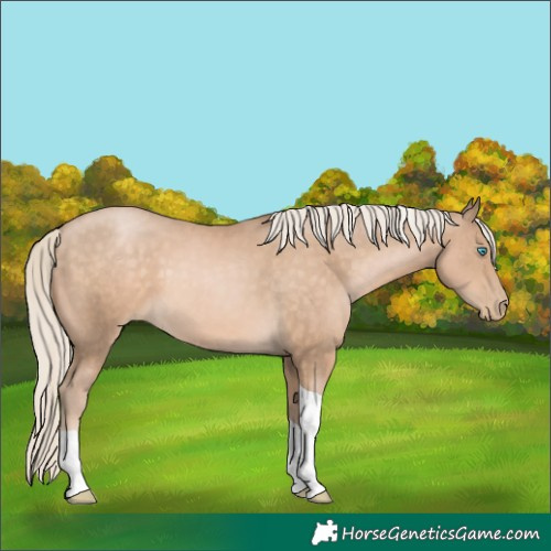 Horse Color:Chocolate Palomino Pearl Tobiano 