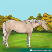 Horse Color:Chocolate Palomino Pearl Tobiano