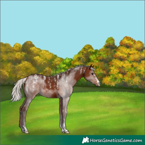 Horse Color:Powder White Silver Brown 