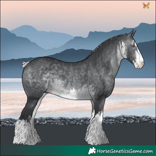 Horse Color:White Spotted Silver Brown Chinchilla 