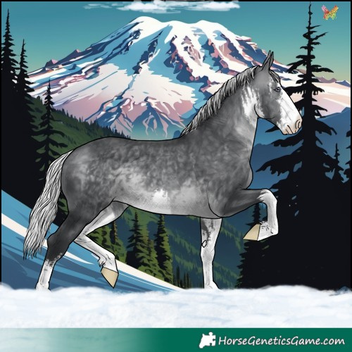 Horse Color:White Spotted Silver Brown Chinchilla 