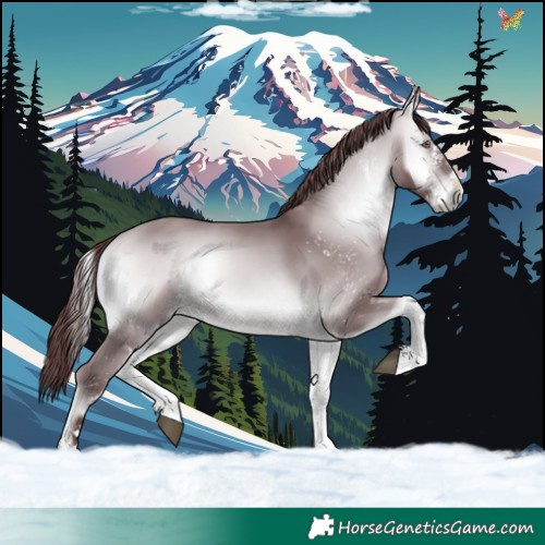 Horse Color:White Spotted Chocolate Bay Chinchilla Onyx 