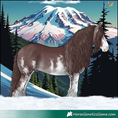 Horse Color:White Spotted Chocolate Brown Chinchilla 