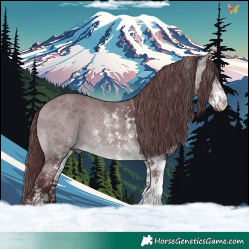 Horse Color:White Spotted Chocolate Bay Chinchilla 