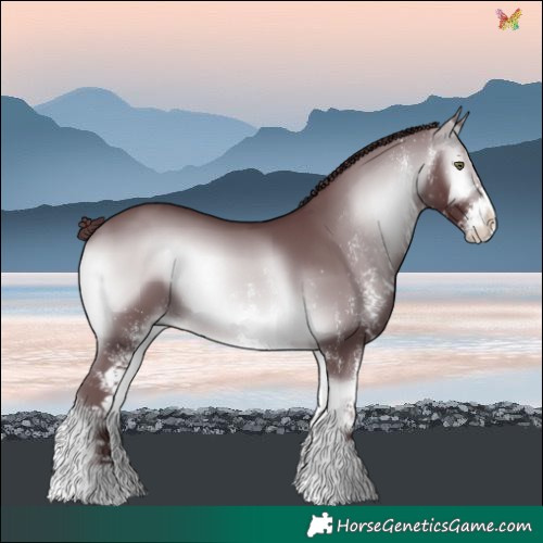Horse Color:White Spotted Chocolate Brown Chinchilla Onyx 