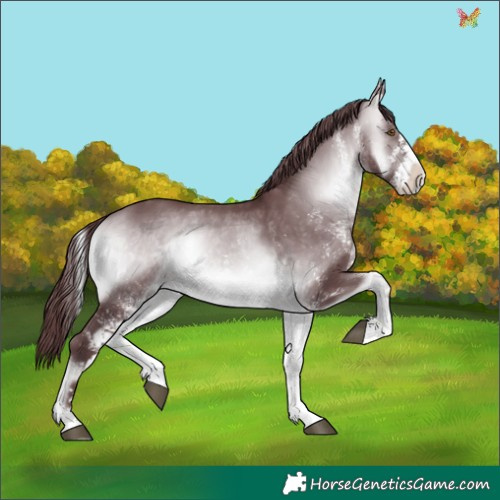 Horse Color:White Spotted Chocolate Brown Chinchilla Onyx 