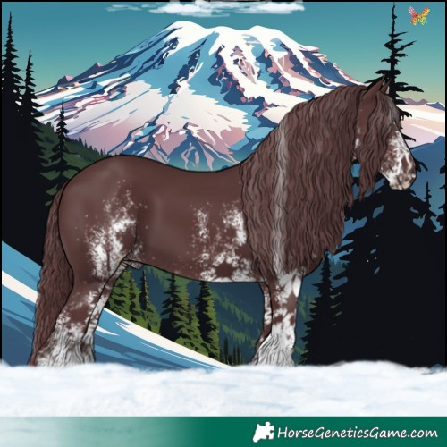 Horse Color:White Spotted Chocolate Black Chinchilla 
