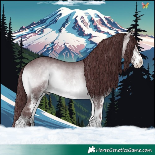 Horse Color:White Spotted Chocolate Brown Chinchilla Onyx 