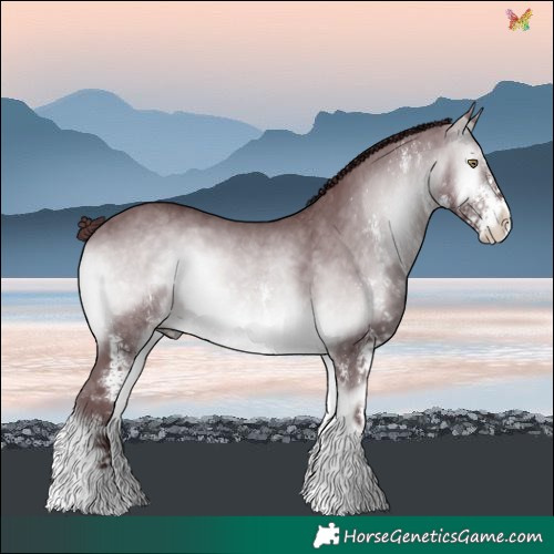 Horse Color:White Spotted Chocolate Brown Chinchilla Onyx 