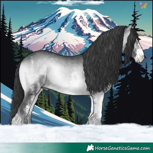 Horse Color:White Spotted Brown Chinchilla Onyx 