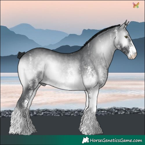 Horse Color:White Spotted Brown Chinchilla Onyx 