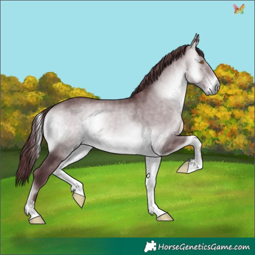 Horse Color:Chocolate Brown Chinchilla Onyx 