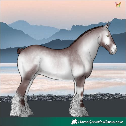 Horse Color:Chocolate Brown Chinchilla Onyx 