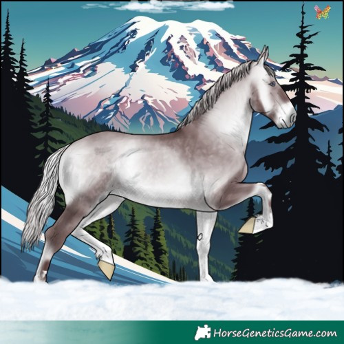 Horse Color:Chocolate Silver Bay Chinchilla Onyx