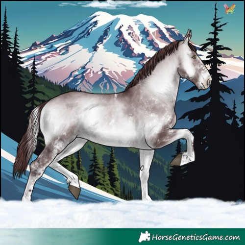 Horse Color:White Spotted Chocolate Brown Chinchilla Onyx 