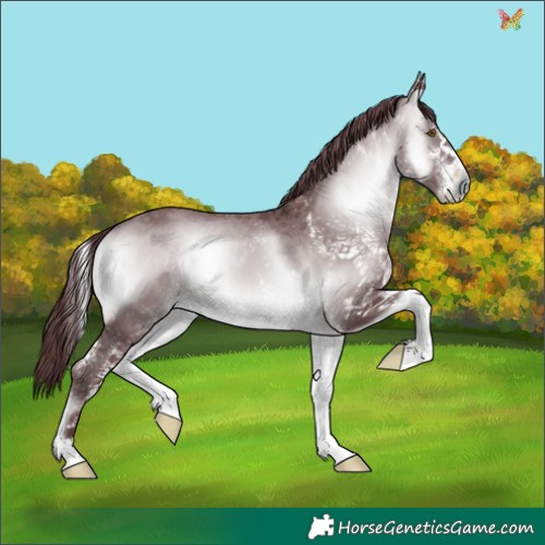 Horse Color:White Spotted Chocolate Brown Chinchilla Onyx 