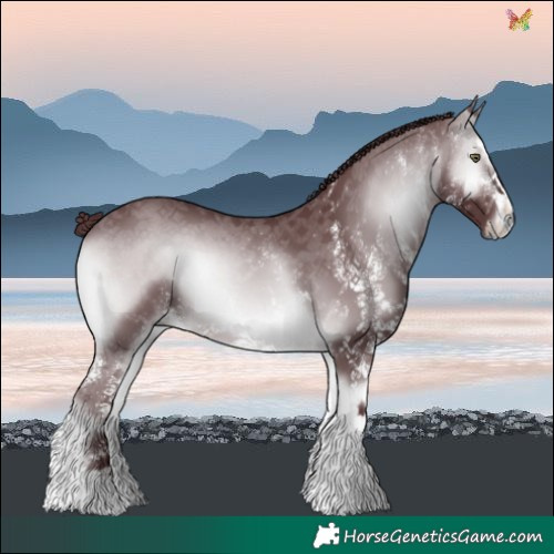 Horse Color:White Spotted Chocolate Brown Chinchilla Onyx 