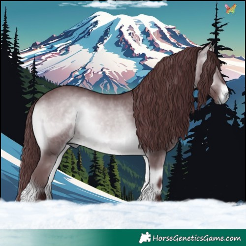 Horse Color:Chocolate Brown Chinchilla Onyx