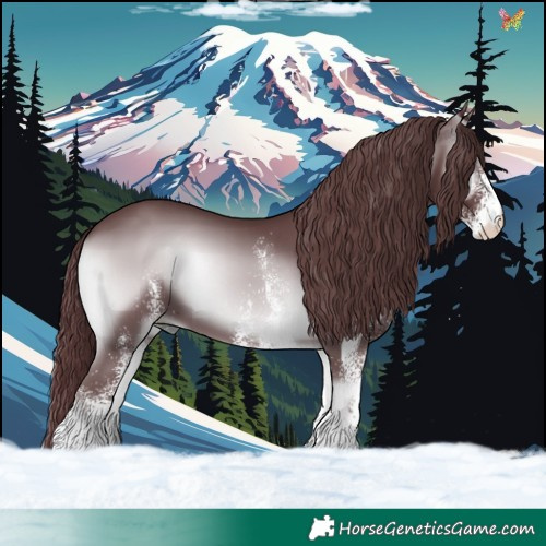 Horse Color:White Spotted Chocolate Blue Onyx Chinchilla 