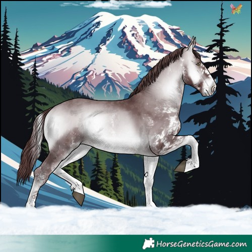 Horse Color:White Spotted Chocolate Brown Chinchilla Onyx 