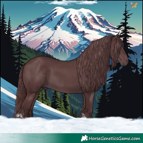 Horse Color:Chocolate Black Chinchilla 